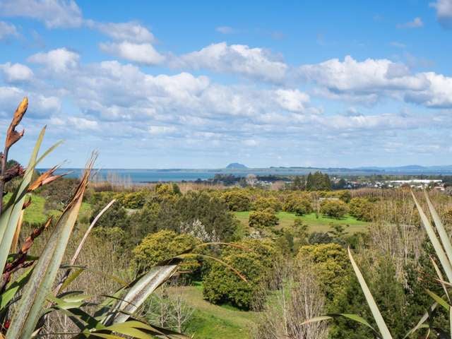 53C Woodland Road Katikati_1