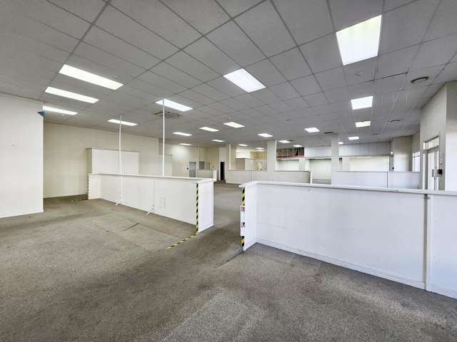 29 Totara Street Tauhara_1