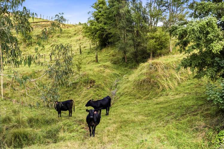 211 Kururau Road Taumarunui_13