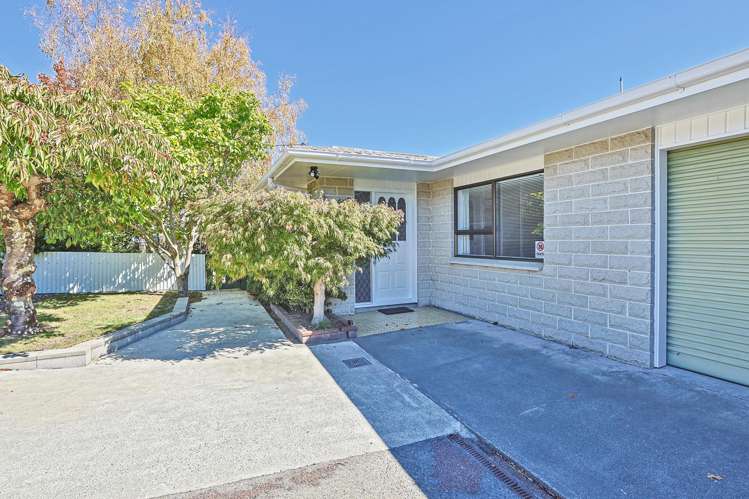 11A Campbell Street Havelock North_16