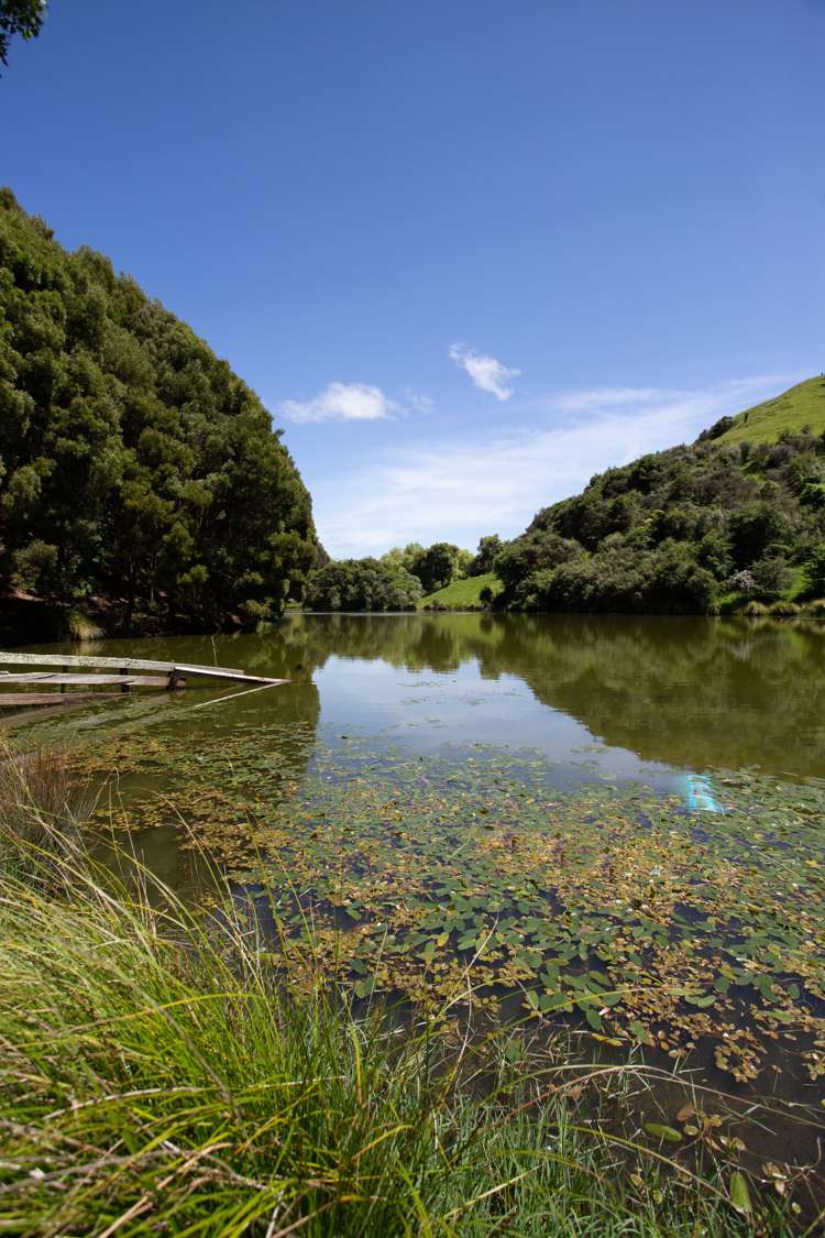 261a Roberts Avenue Aramoho_9