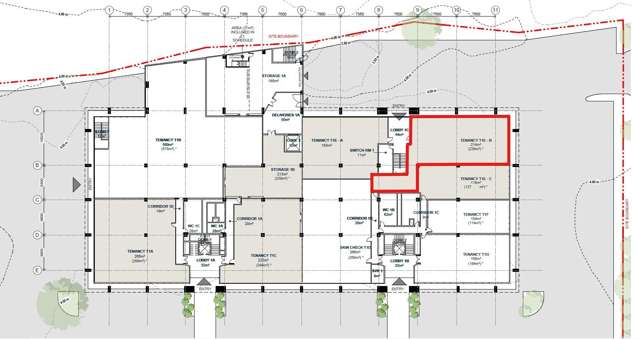 T1E-B/4 Fred Thomas Drive Takapuna_2