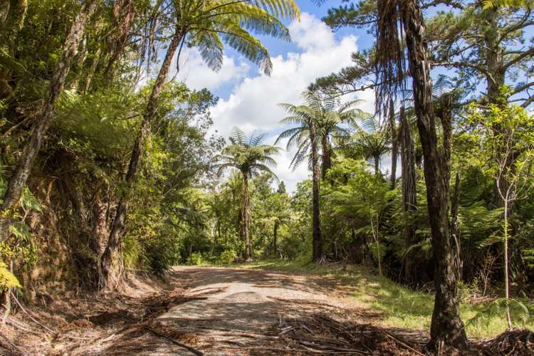 30 Scheltema Road, Waikino Waihi_13