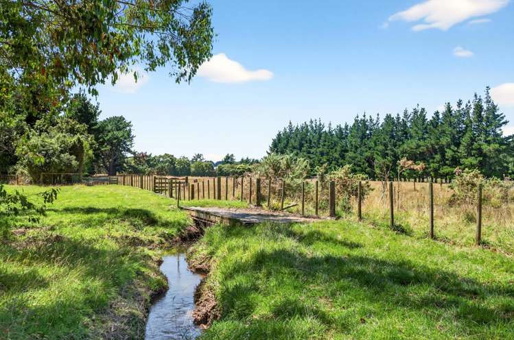 869 Norfolk Road Carterton_28