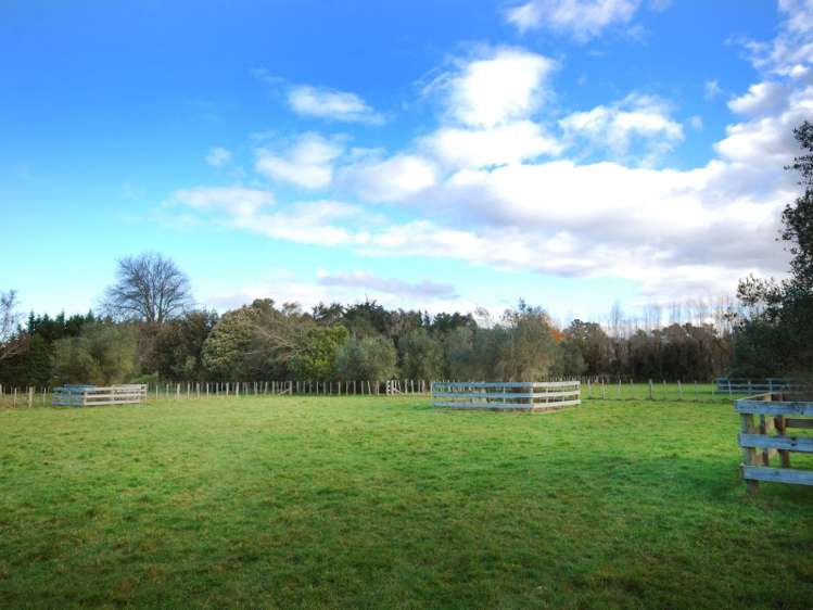 225 Upper Manaia Road Upper Plain_12