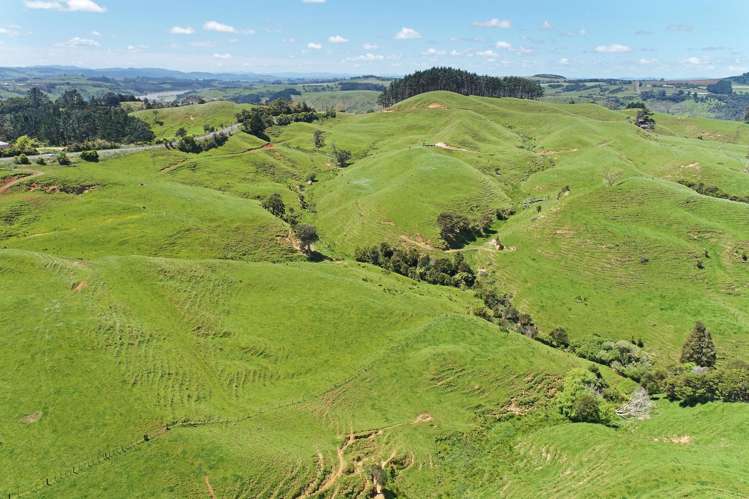 357 Onewhero-Tuakau Bridge Road Onewhero_13