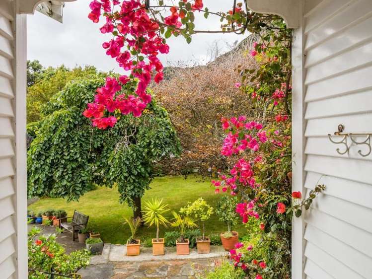 22 Nikau Street Eastbourne_15