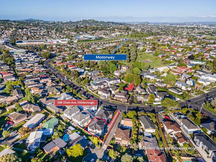 38b Olsen Avenue Hillsborough_30