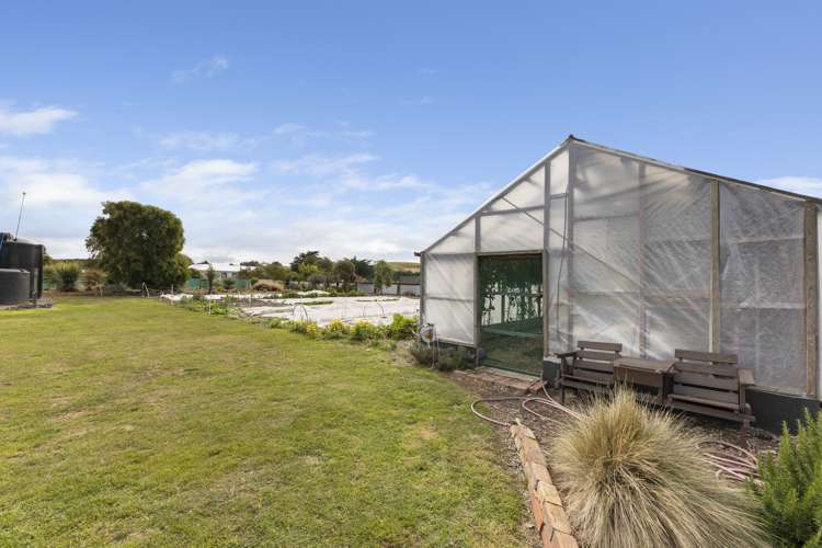 66 London Street Hampden_17