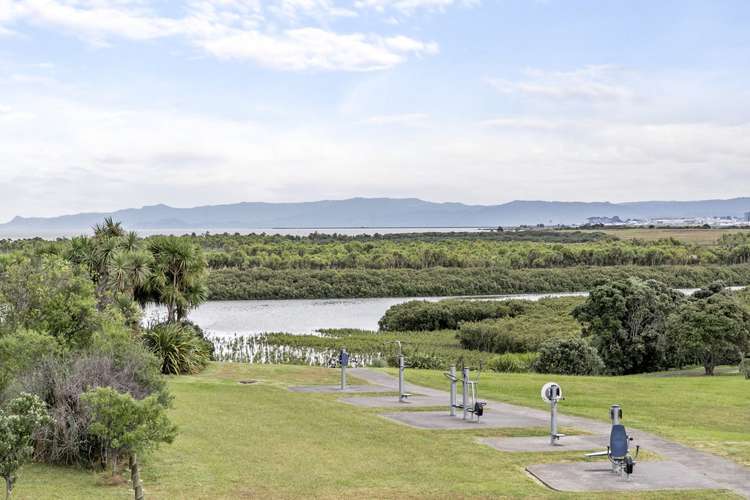 80 Finlayson Avenue Clendon Park_17