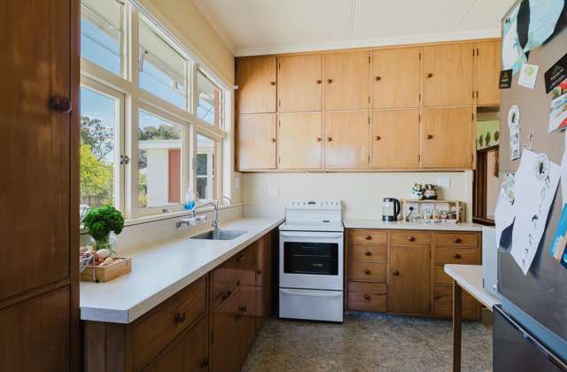 33 Daniell Street Bulls_3