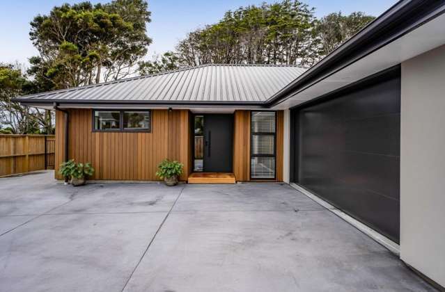 227a Tukapa Street Westown_2