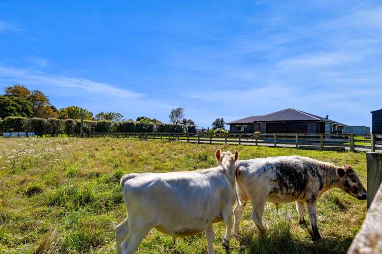 123 Princess Street Waitara_27