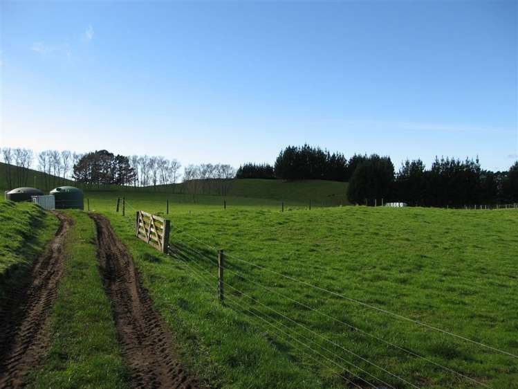 176 Kumikumi Road Kaimai_15