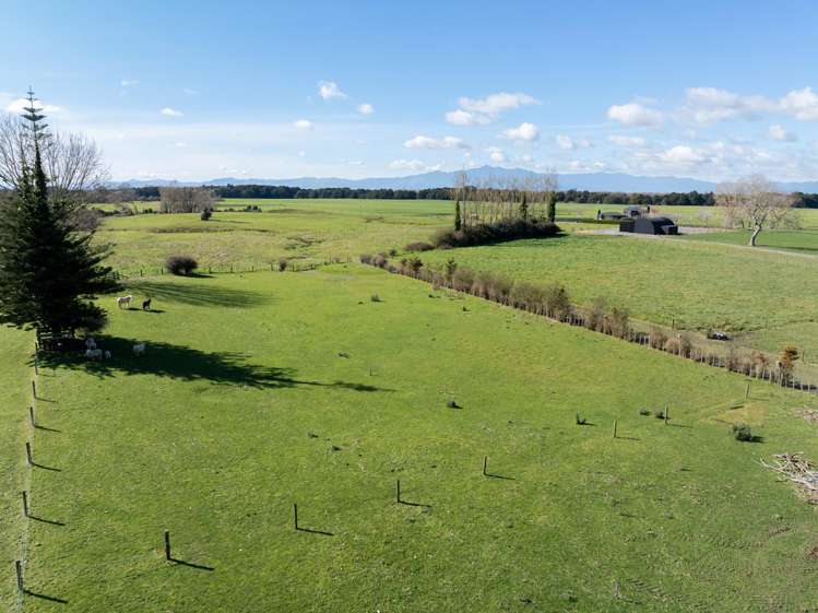 449 Taukoro Road Morrinsville_25
