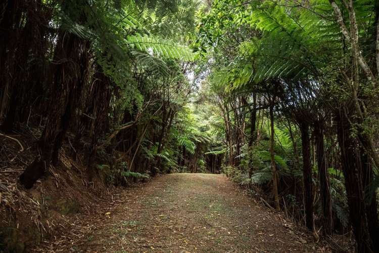 183 Rangitane Road Kerikeri_29