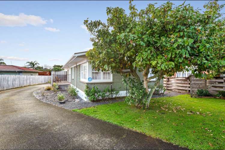 25 Richardson Avenue Pukekohe_2