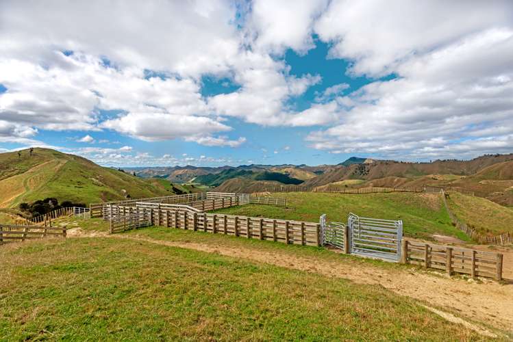 3643 Wharekopae Road Rere_1