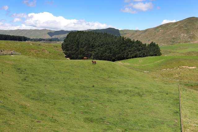 50 Highland View Drive Tokomaru_3