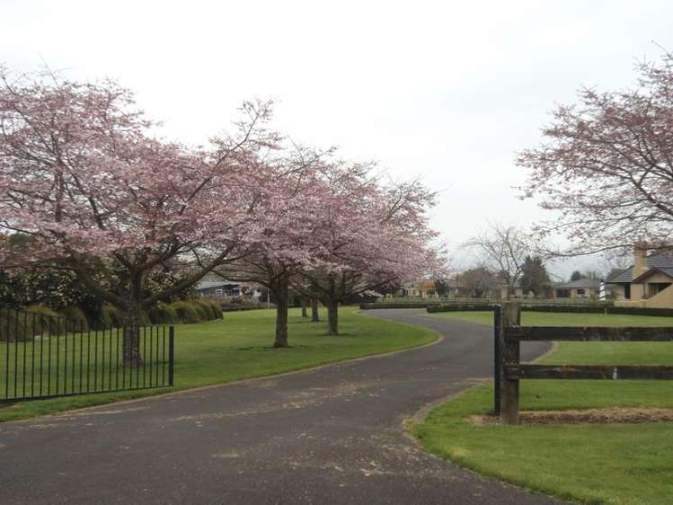 Everad Avenue Matamata_0