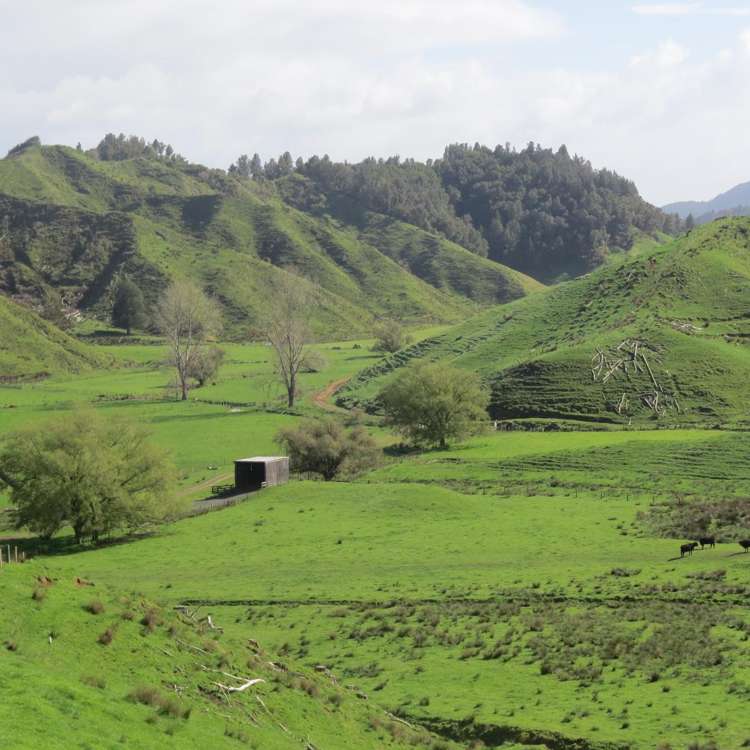 168 Pao Road Aria_25