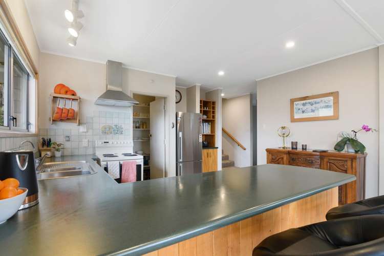 49 Marlborough Crescent Richmond_10