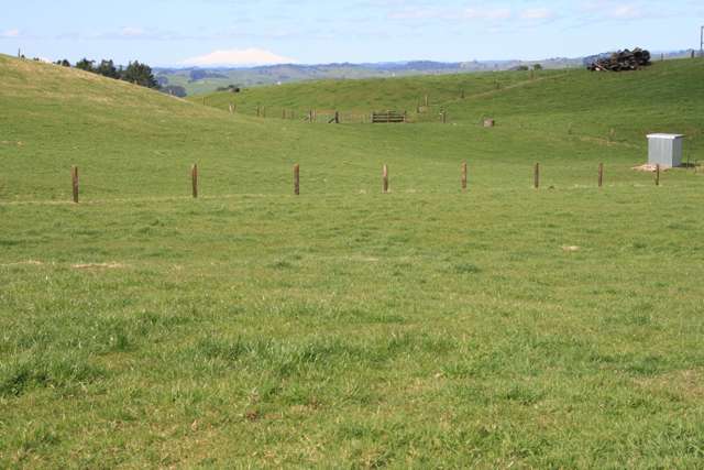 190 Lincoln Road Inglewood_3