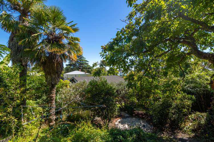 15c Harper Street Nelson City_22