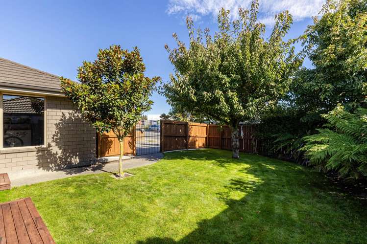 59 Taylor Pass Road Witherlea_6