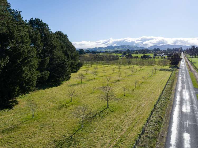 417 Upper Plain Road Masterton_17