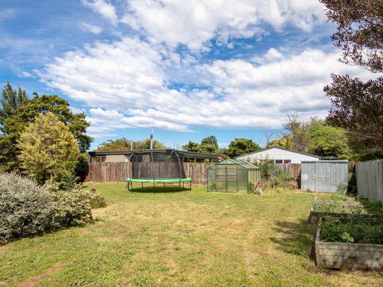 46 State Highway 63 Renwick_21