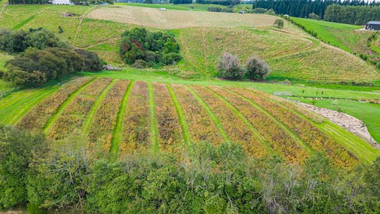 126 Point Bush Road Waimate_33