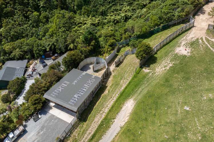 Lot 1 Anakoha Bay Marlborough Sounds_31