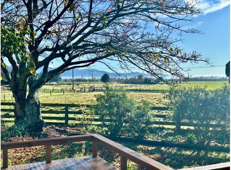 75 North Street Greytown_12