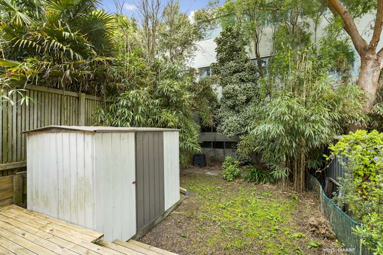 15 Moir Street Mount Victoria_11