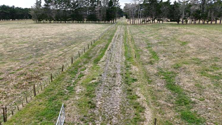 265 Paranui Road Foxton_5