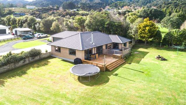 150 Beech Lane Coromandel_4