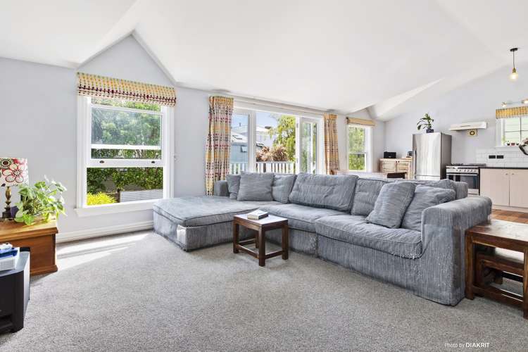 34 Aro Street Aro Valley_5