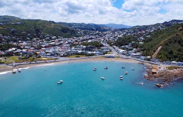 354 The Esplanade Island Bay_29