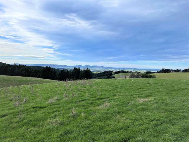 318 Hillend Road Balclutha_2