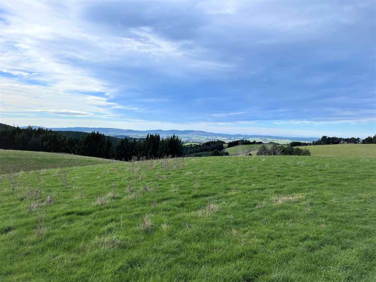 318 Hillend Road Balclutha_2