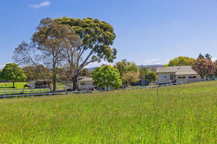 45 Bryant Road Brightwater_23