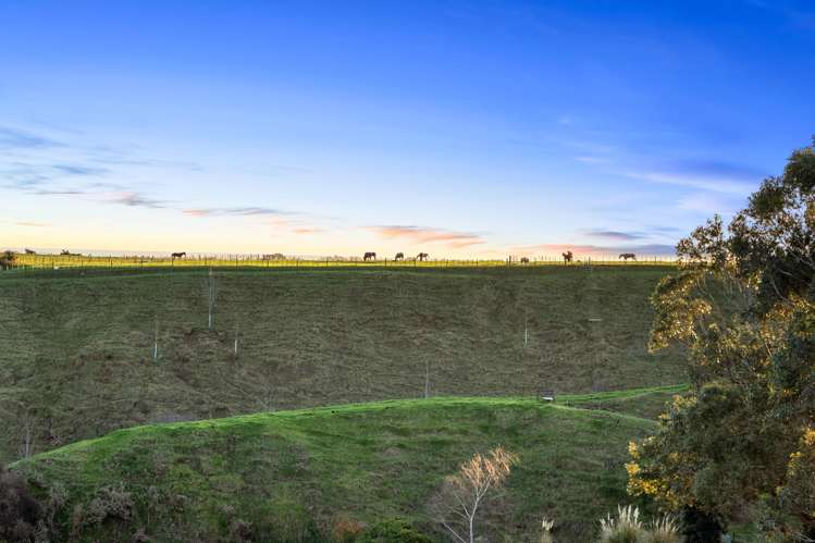 17 East Way Durie Hill_24