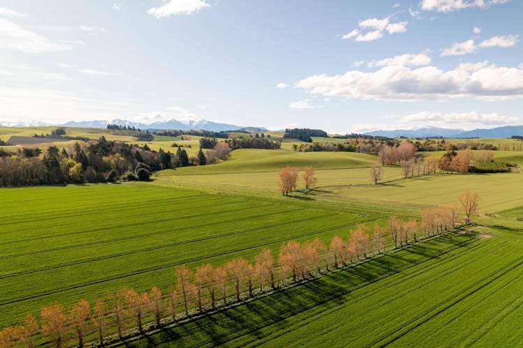 Rowallan Road Darfield_3