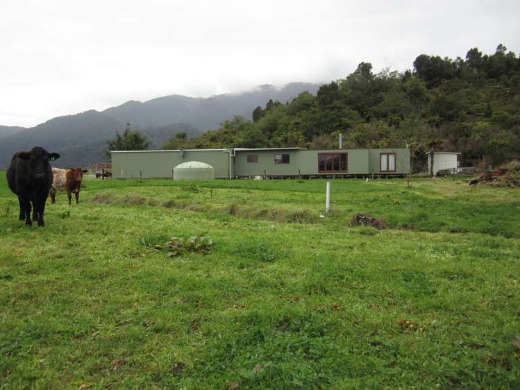 136 Charming Creek Road Seddonville_12