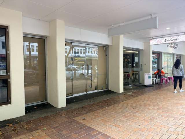 Ground/117 Lambton Quay Wellington Central_3
