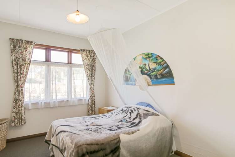 7 Daniell Street Bulls_8