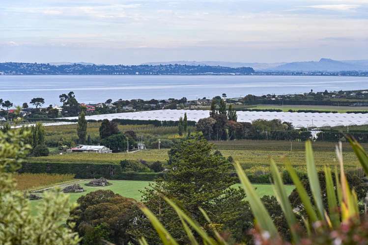 36 Kaimata Road Bay View_32