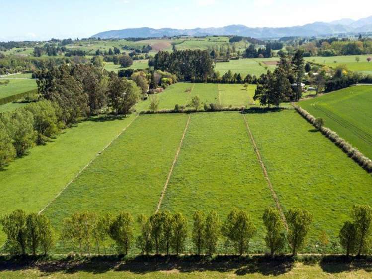 178 Main North Road Geraldine_2