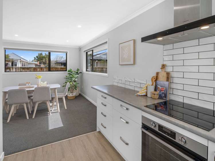 137a Winchester Street Levin_6